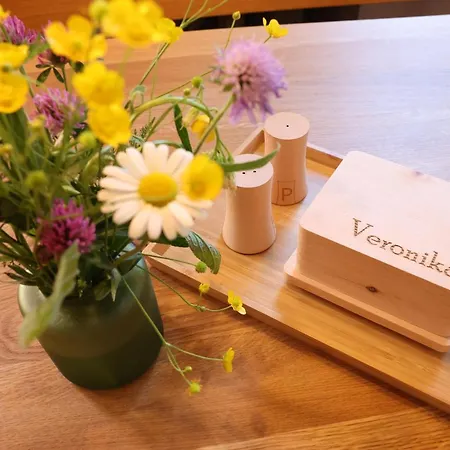 Apartment Veronikas Ferienwohnung Zillertal *